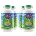 4 Pack - Gluco-Gel - 240 capsules 4 Pack - Gluco-Gel - 240 capsules